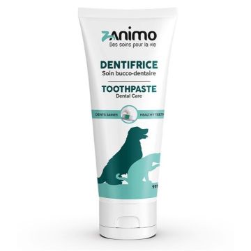 Oral Care Toothpaste