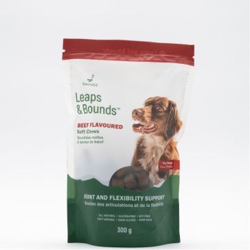 Beef Cookie for Dogs