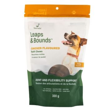 Chicken Cookie for Dogs
