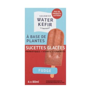 Sucette glacée fudge probiotique