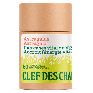 Astragalus 280 mg - Energy