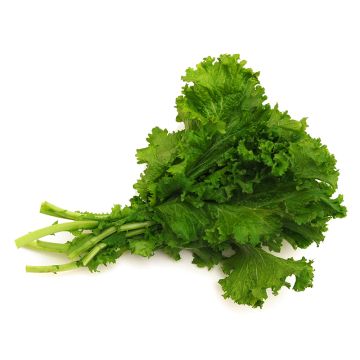 Feuille de moutarde biologique