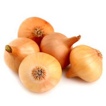 Oignon Vidalia biologique
