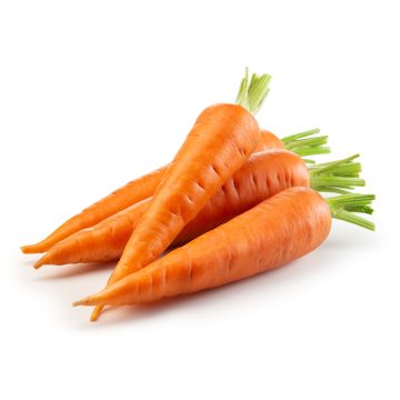 Carotte à jus biologique