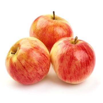 Pomme Autumn Glory biologique