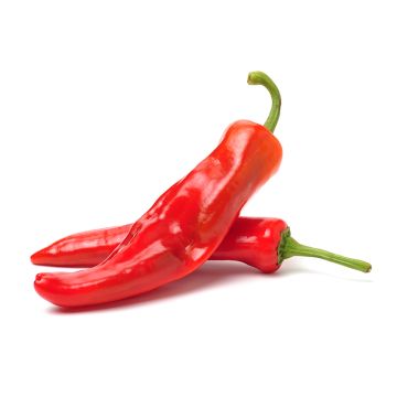 Piment Anaheim biologique