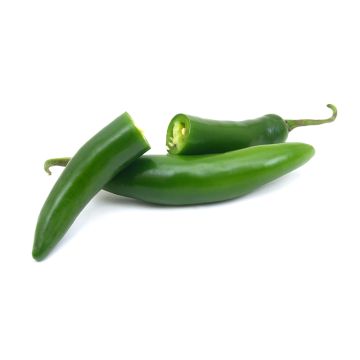 Piment Serrano biologique