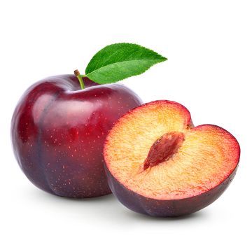 Organic Red Plum