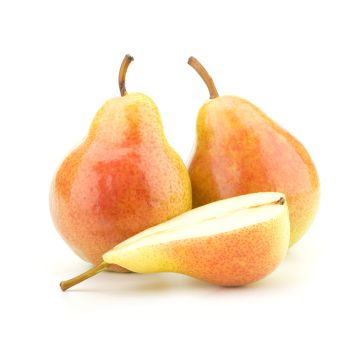 Poire Harrow sweet biologique