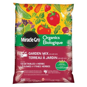 Garden soil Organic vegetables and herbs