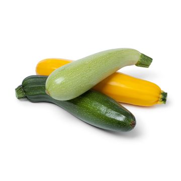 Trio de courgettes biologiques