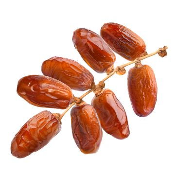 Date Nour on Organic Branch