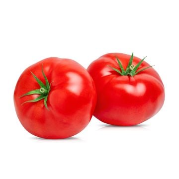 Tomate rouge de serre biologique