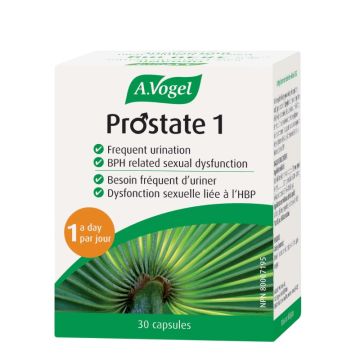 Prostate 1 Santé de l'homme
