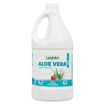 Jus aloe vera - Grenade