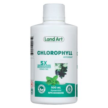 Chlorophyll - Concentrated 5X mint