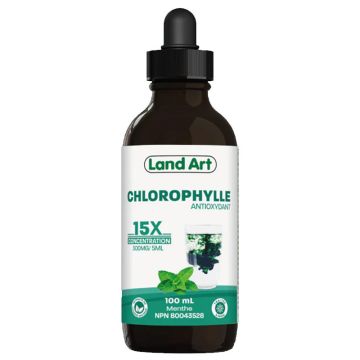 Chlorophyll - Concentrated 15X mint