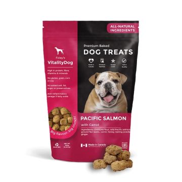 Gâterie saumon carotte miel pour Chien