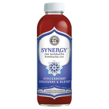 Kombucha Synergy -  Gingembre et bleuet