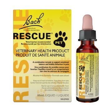 Rescue - Pet