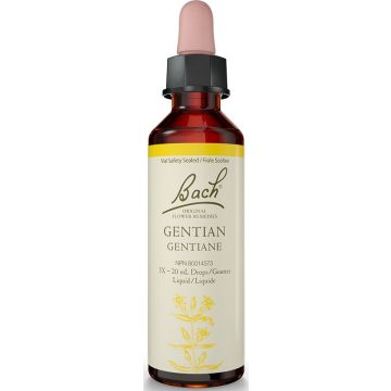 Original flower remedies - Gentian