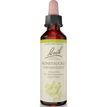 Fleur de Bach - Chèvrefeuille