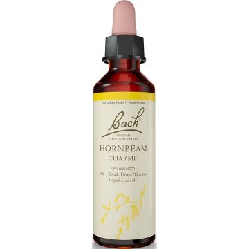 Original flower remedies - Hornbeam