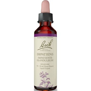 Fleur de Bach - Impatiente glanduleuse