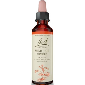 Original flower remedies - Mimulus