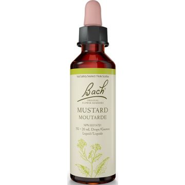 Original flower remedies - Mustard