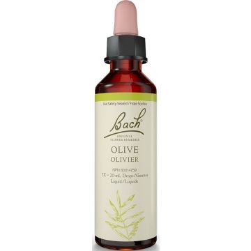 Original flower remedies - Pine