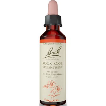 Original flower remedies - Rock rose