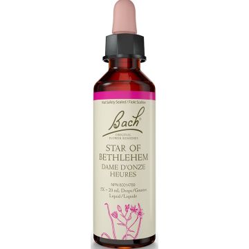 Original flower remedies - Star of Bethlehem