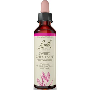 Original flower remedies - Sweet Chestnut