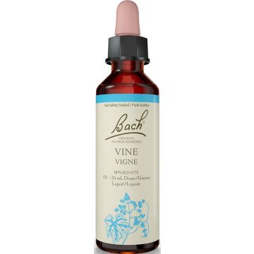 Original flower remedies - Vine