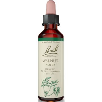Original flower remedies - Walnut