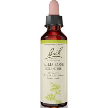 Original flower remedies - Wild Rose
