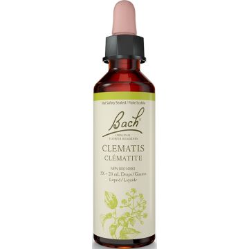 Original flower remedies - Clematis
