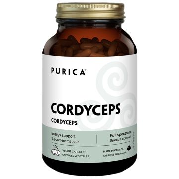 Cordyceps - Support d'énergie