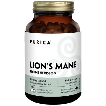 Lion's Mane - Memory support