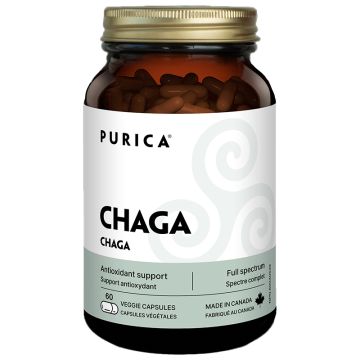 Chaga - Antioxidant support