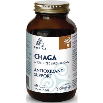 Chaga - Antioxidant support