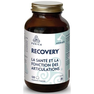 Recovery for Pets - Whole body health and Joint function