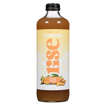 Kombucha biologique Gingembre