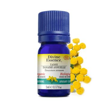 Organic Blue Tansy Chamomille  Essential Oil - Soothe Skin