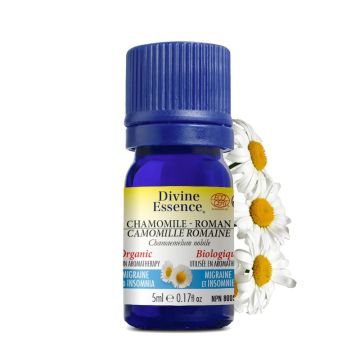 Organic Roman Chamomile Chamaemelum Nobile Essential Oil - Migraine