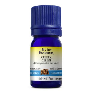 Essential Oil - Celery (Apium graveolens var. dulce)