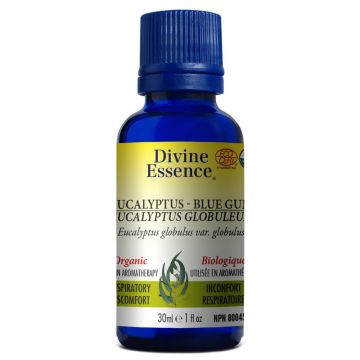 Huile essentielle Eucalyptus globuleux biologique eucalyptus globulus - Inconfort respiratoire