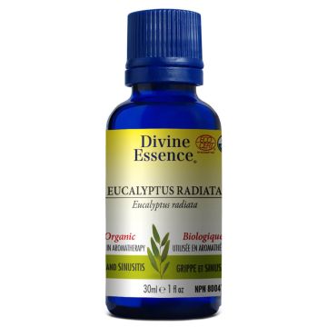 Essential Oil - Organic Eucalyptus radiata (Eucalyptus radiata)