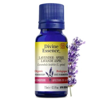 Organic Lavender Spike Lavandula Latifolia L. Spica Essential Oil - Skin Disorders